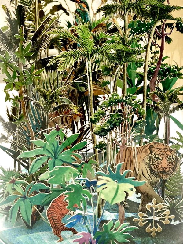  - agathe bokanowski - illustrateurs/rices