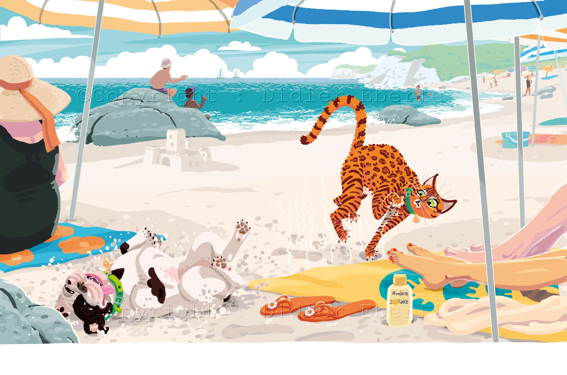 A&amp;F-T4-Couleur-12-13.jpg - didier eberlé - illustrateurs/rices