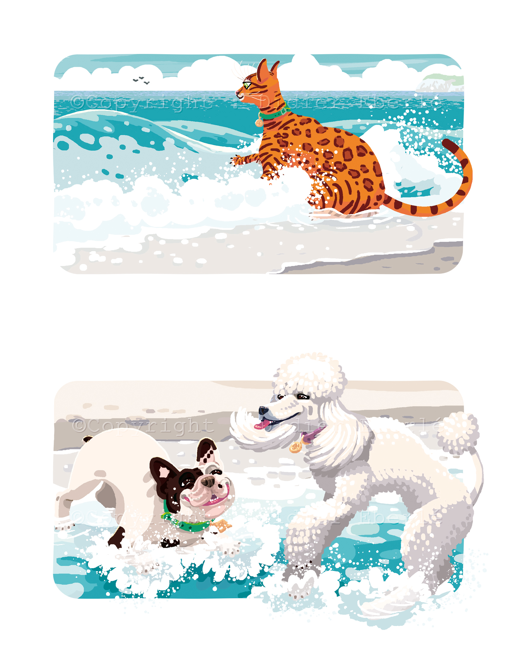 A&amp;F-T4-Couleur-15 copie.jpg - didier eberlé - illustrateurs/rices