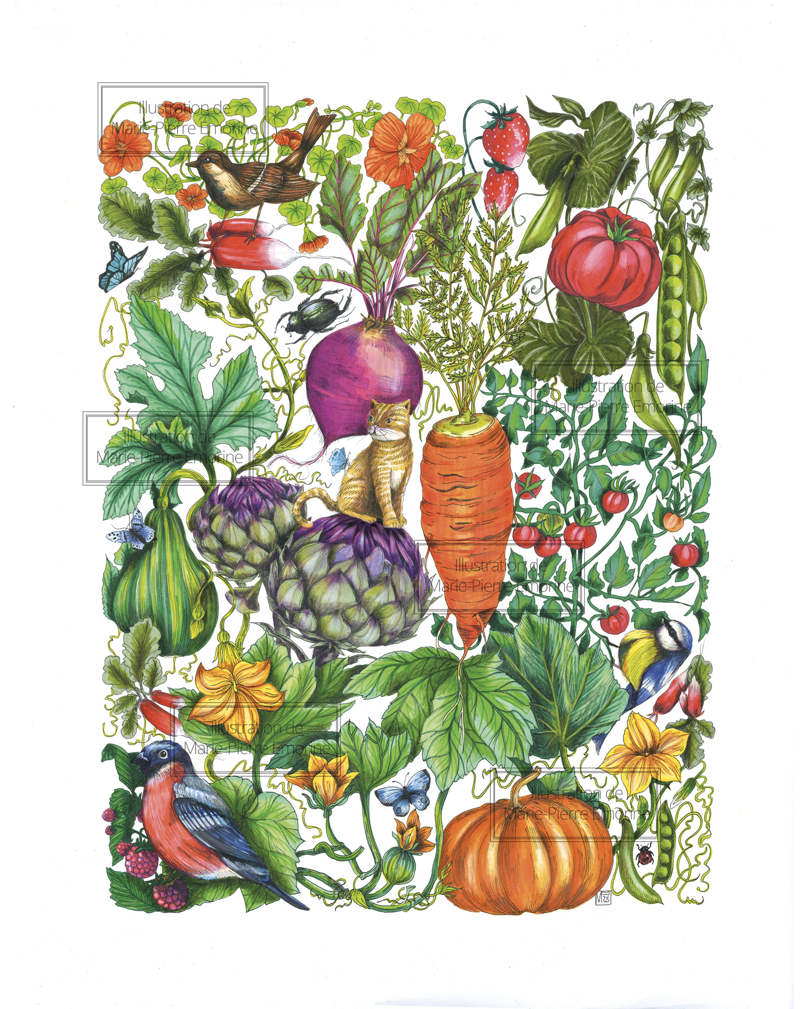  - marie-pierre emorine - illustrateurs/rices