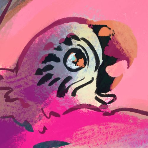 julie brecl - illustrateurs/rices