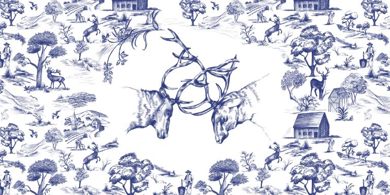 Style toile de jouy - Laura gervais - illustrateur