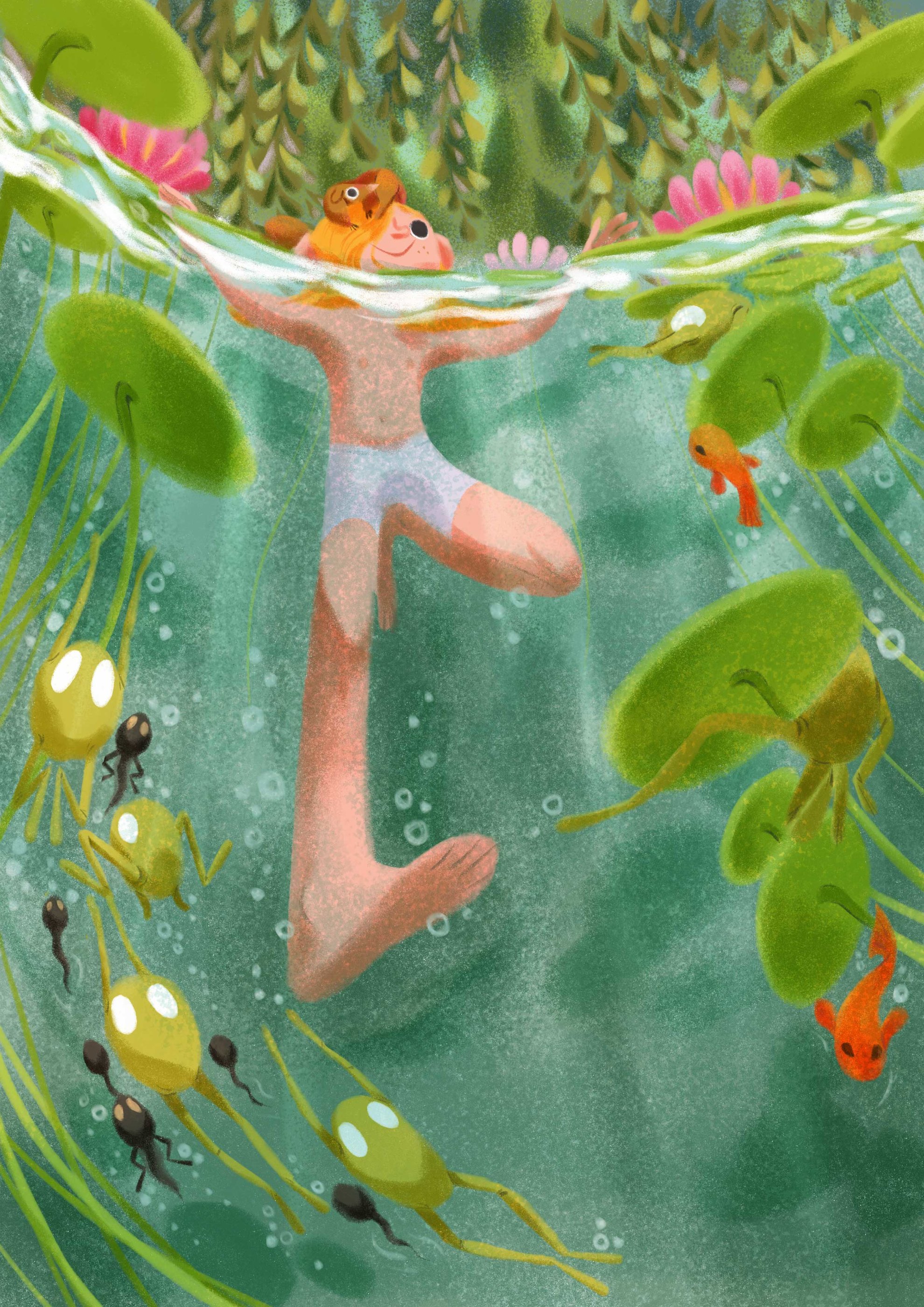  - luisa torchio - illustrateurs/rices