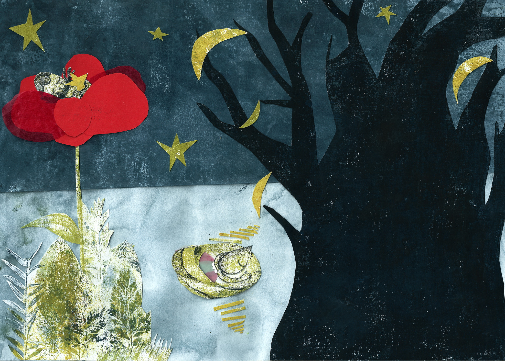 jeunesse - nadia berz - illustrateur