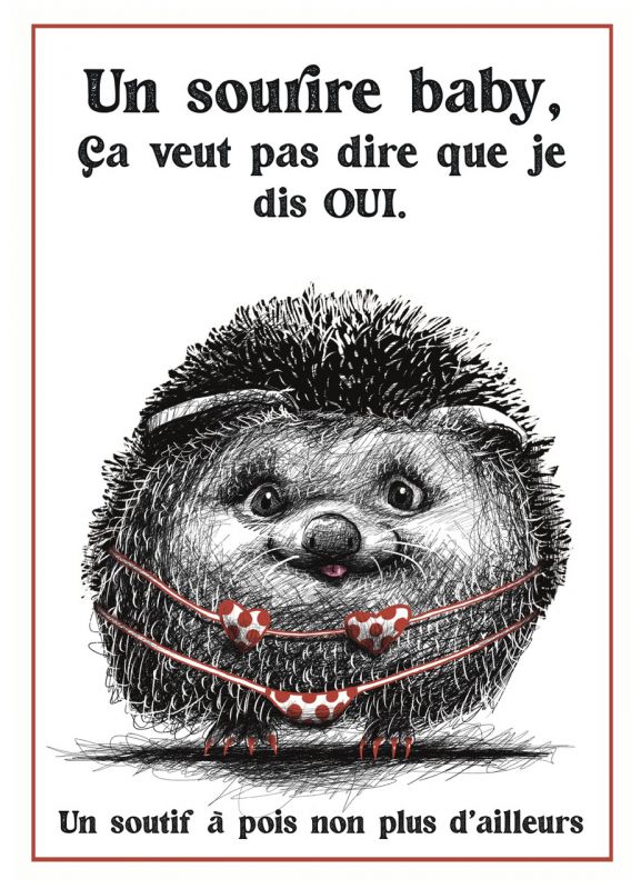 Kit Inclusif et Festif.  Hérisson - roxane rastrelli - illustrateurs/rices