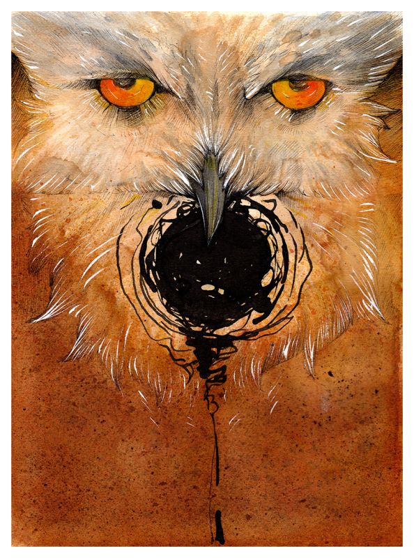 Oidhche - claire michel - illustrateurs/rices